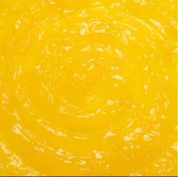 Relleno de Piña Topfil Choice