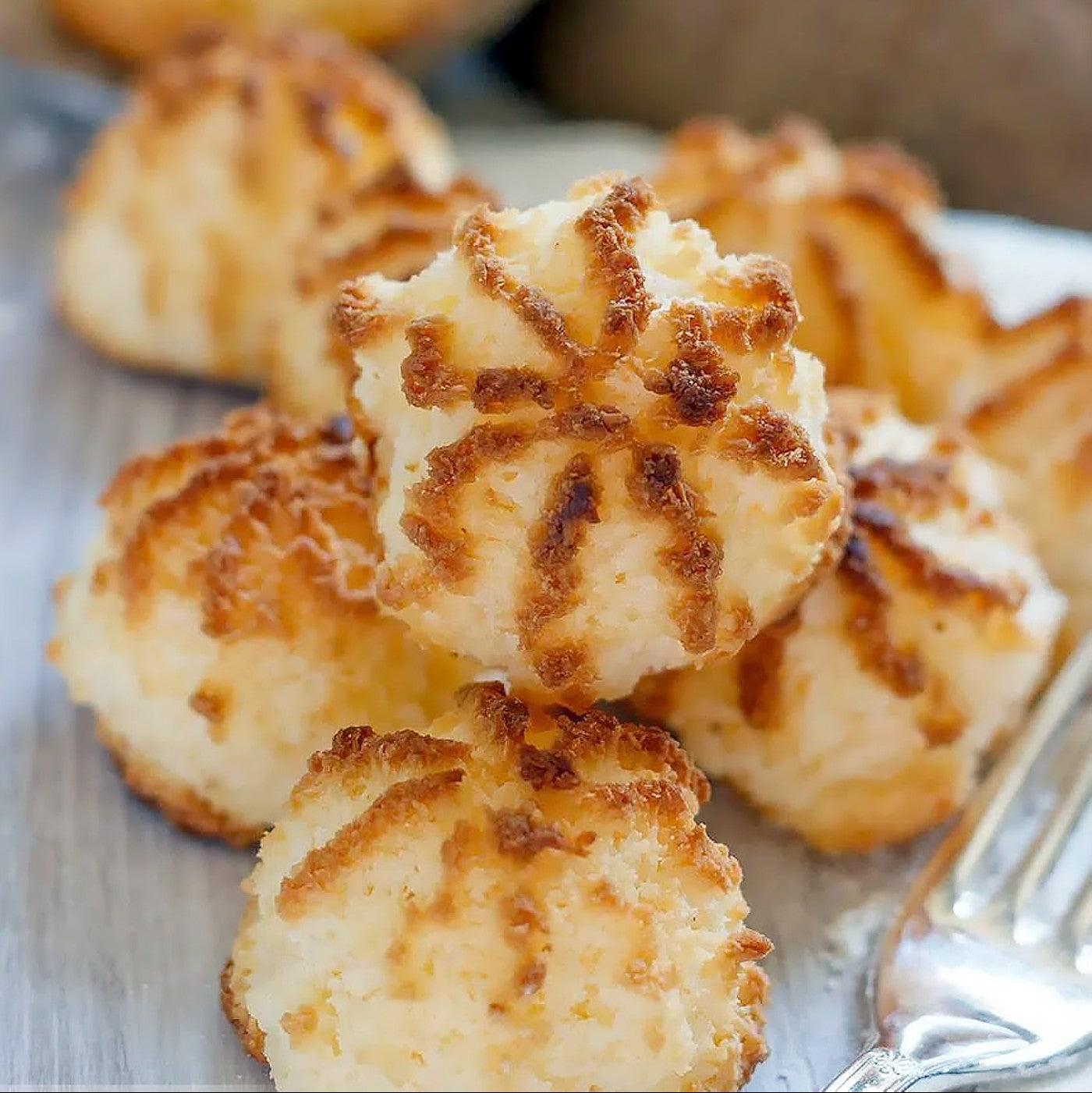 Coco Flakes - 10 lbs.