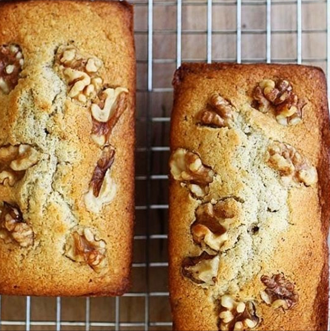 Walnuts Bakers Pieces - 5 lbs.