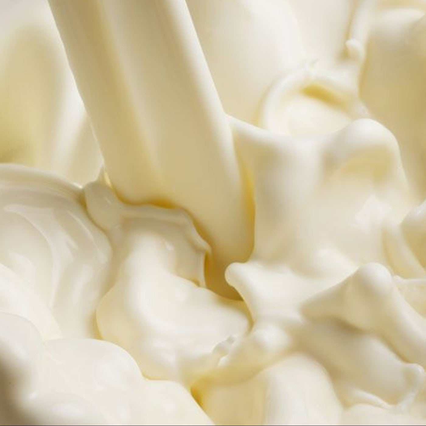 Leche Evaporada 10 lbs.