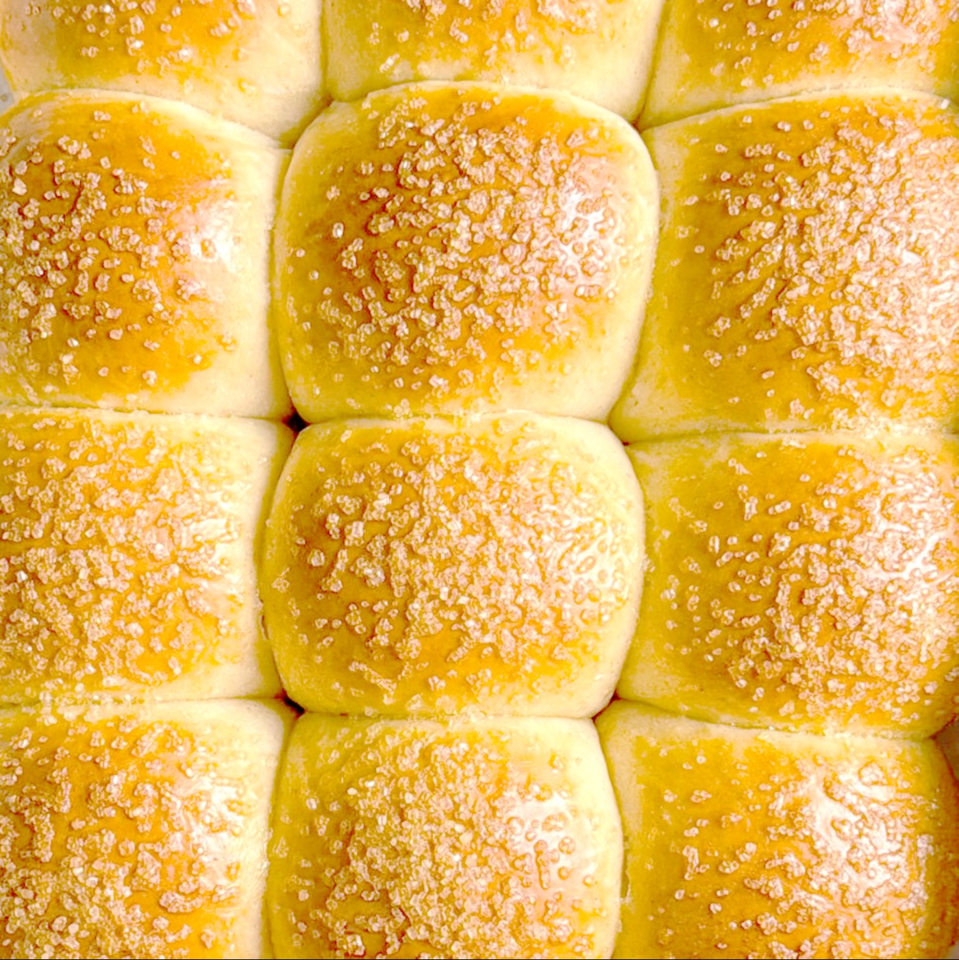 Color Amarillo Vegetal en Polvo 16 oz.