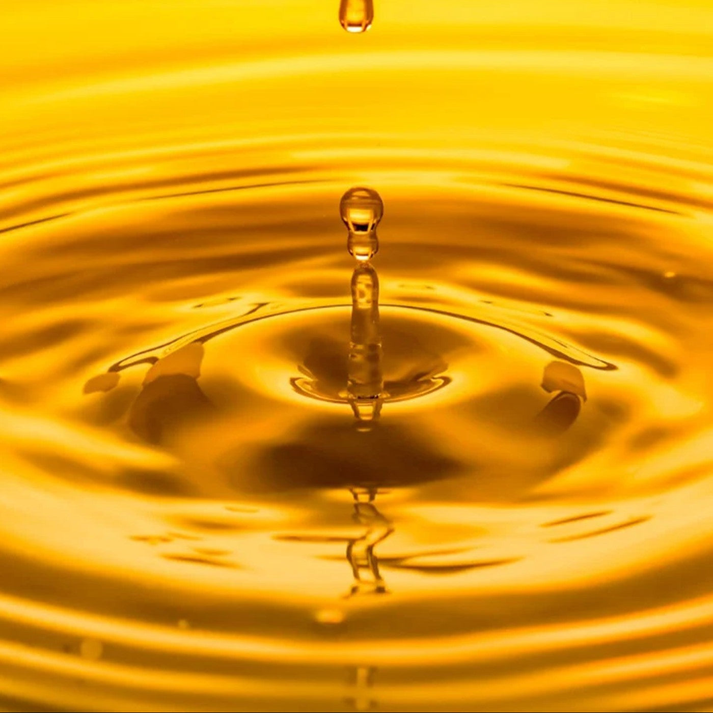 Manteca Vegetal Líquida - 35lb