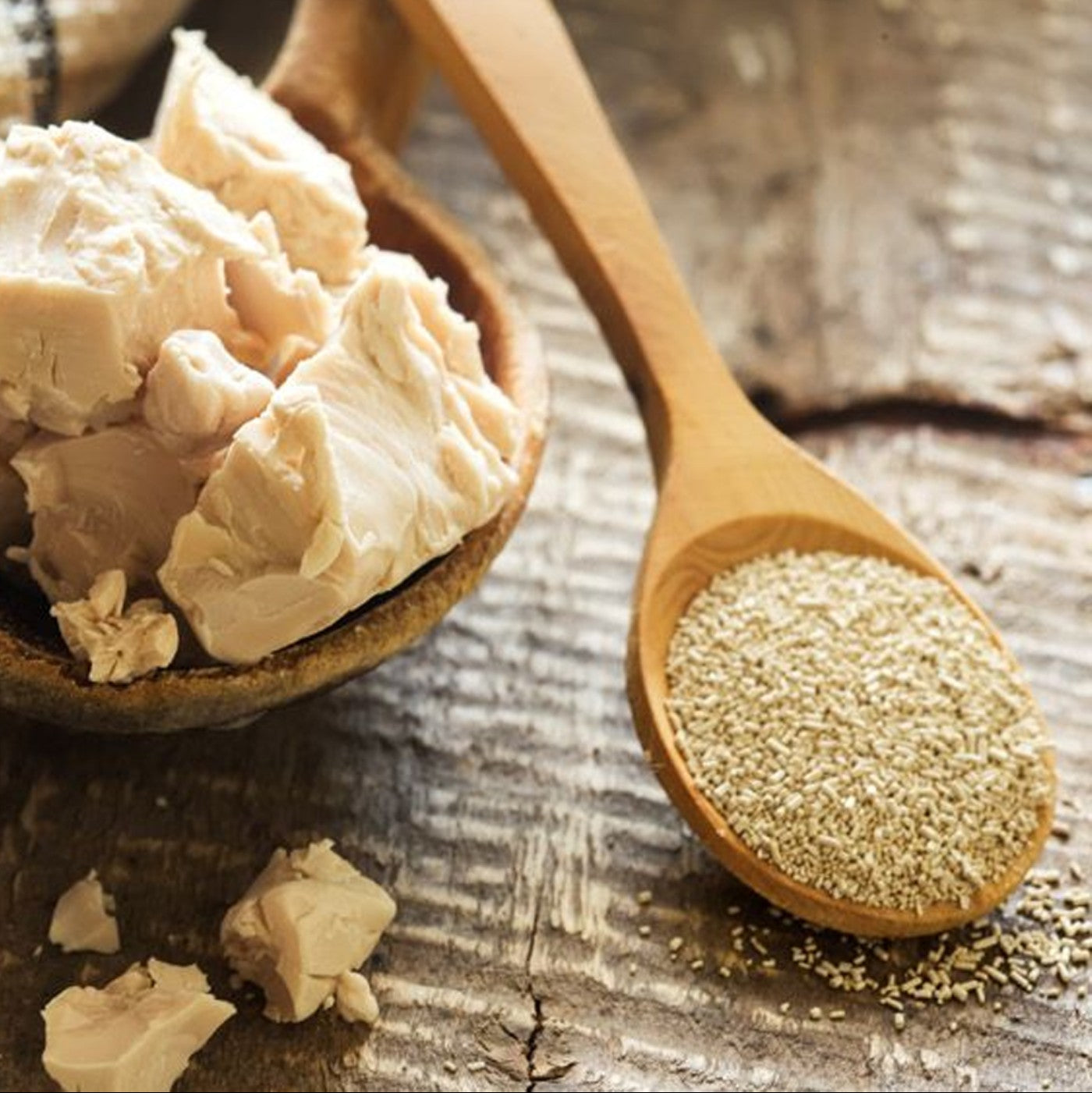 Levadura Mauripan - Rojo