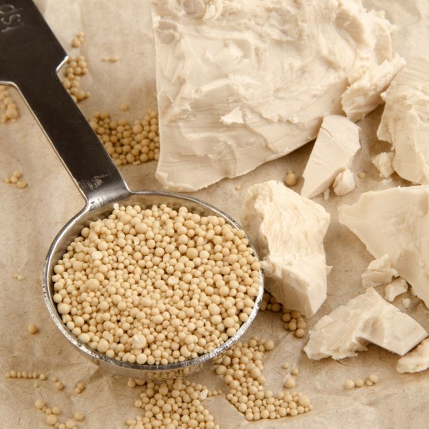 Levadura Mauripan Oro