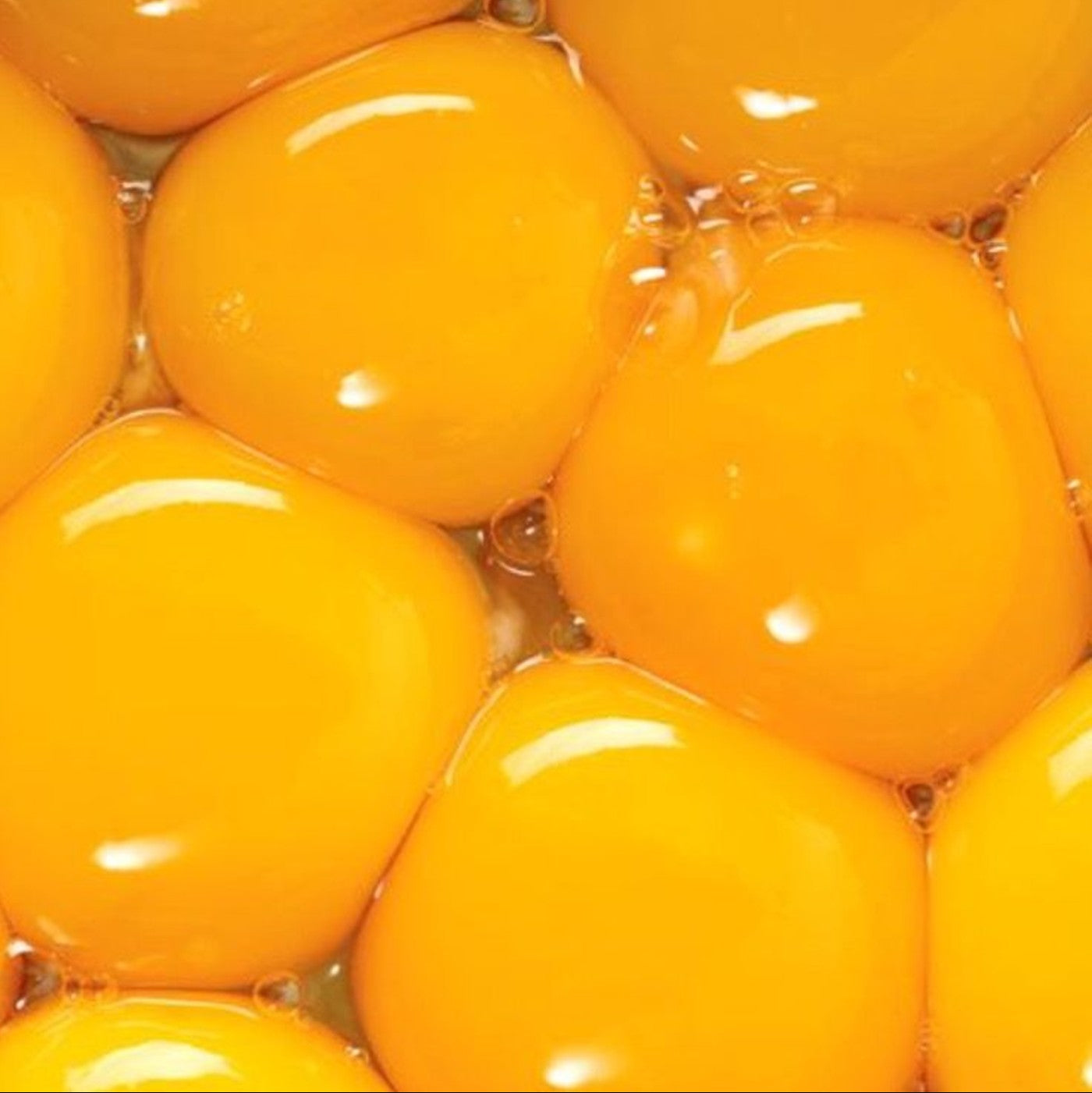 Yema de Huevo Azucarada 10% - Congelada