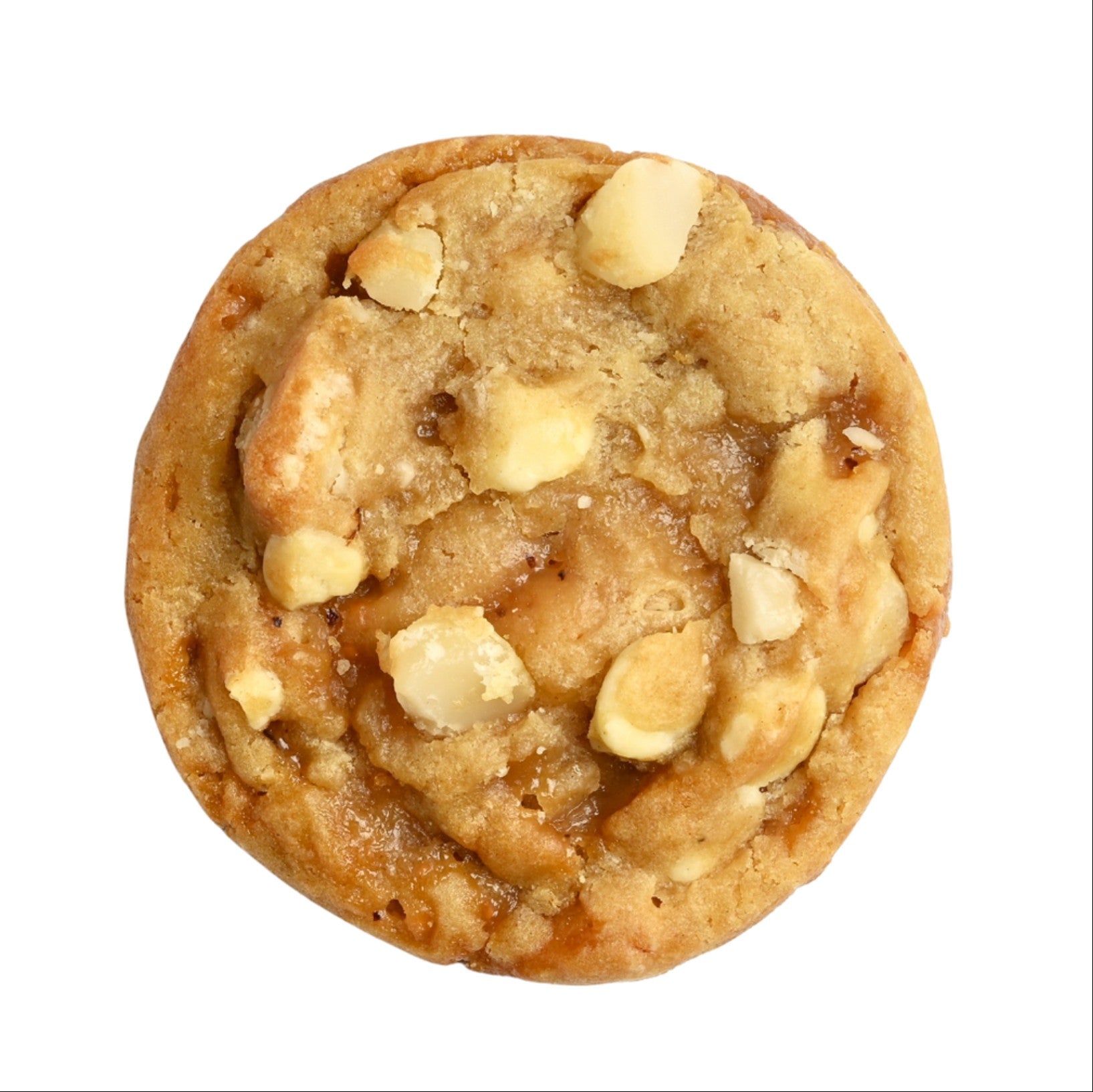 Galleta Macadamia White Choco 1.4 oz