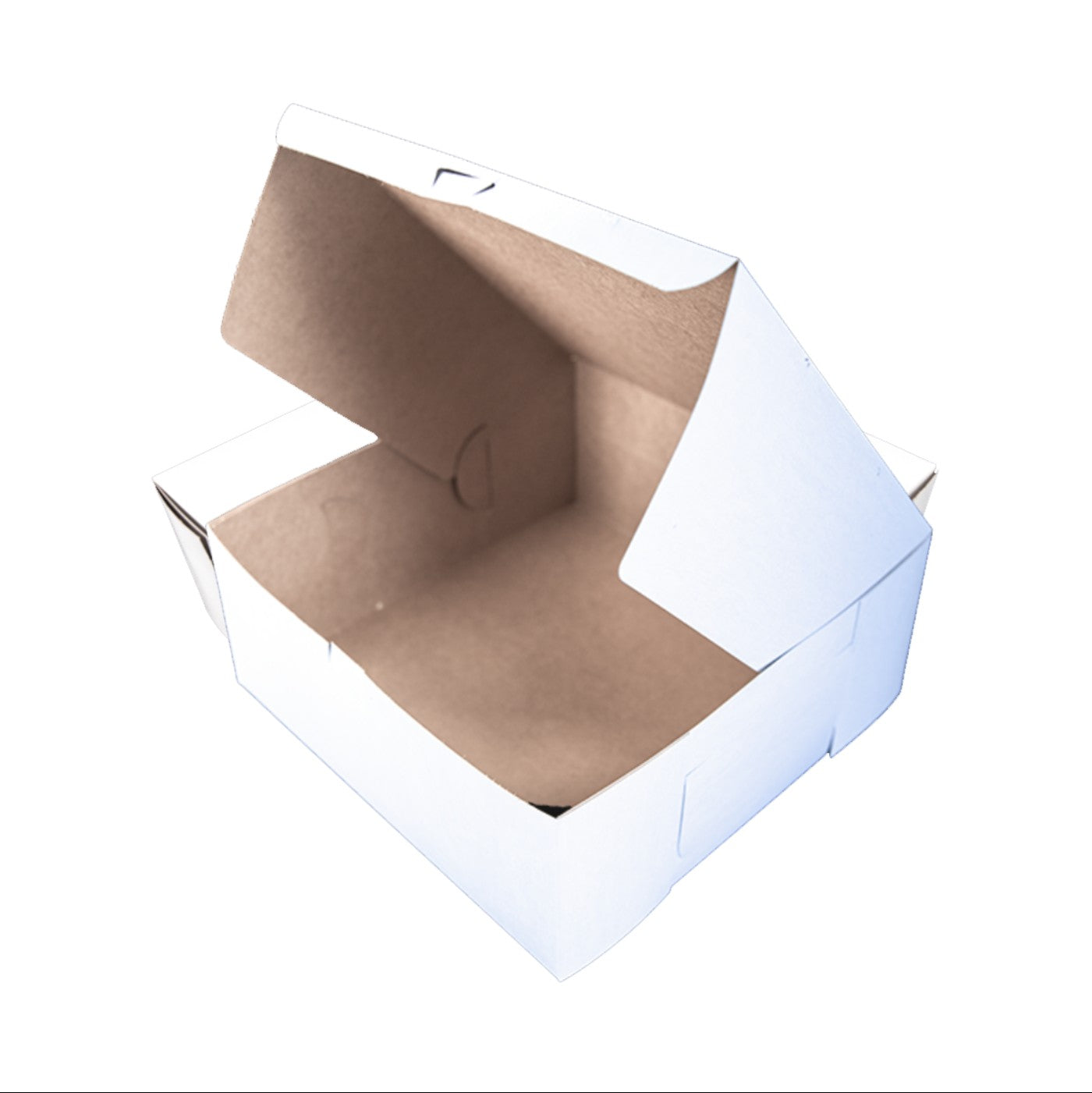 Caja Blanca Premium 12x12x5 - 1 / 100