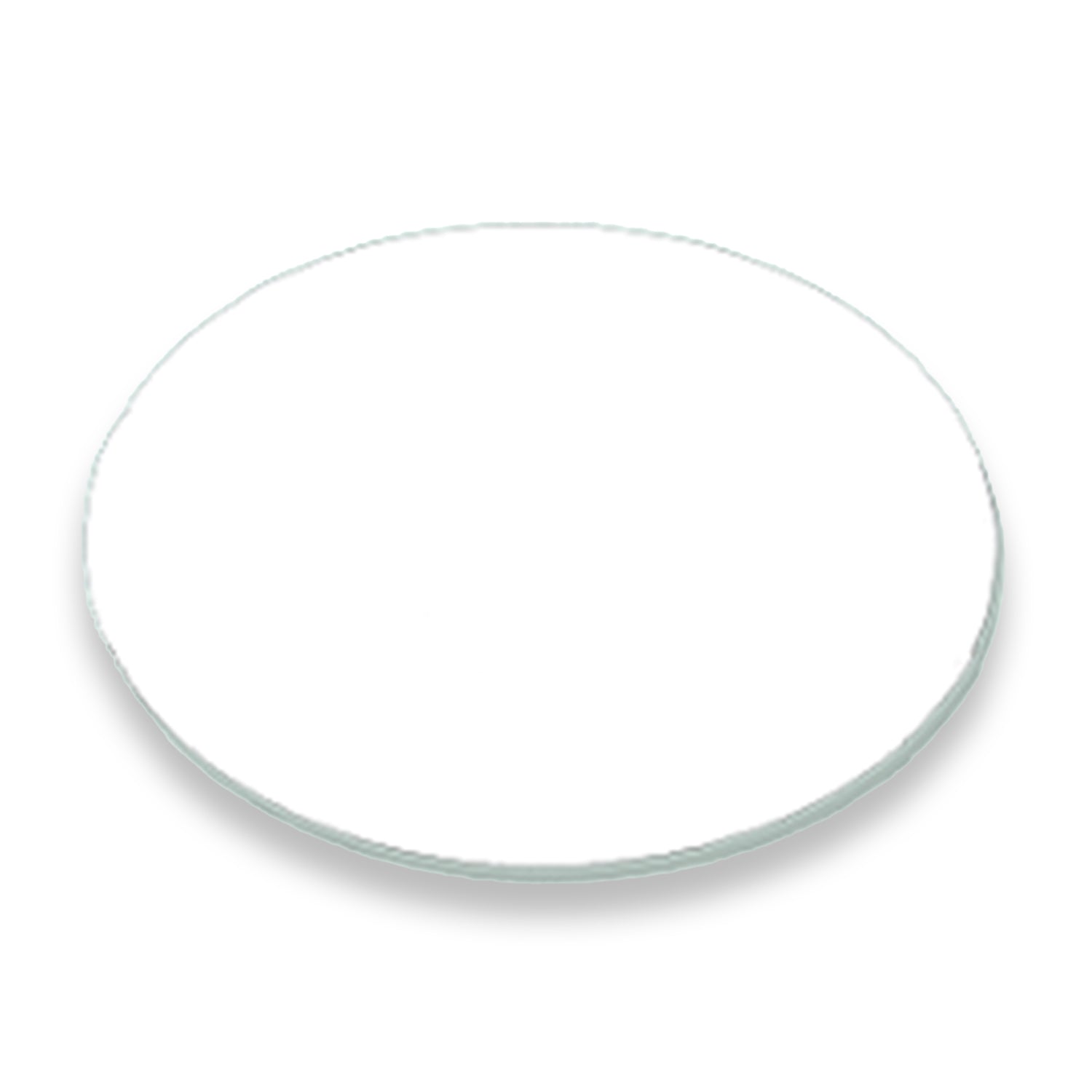 Disco Blanco 6in
