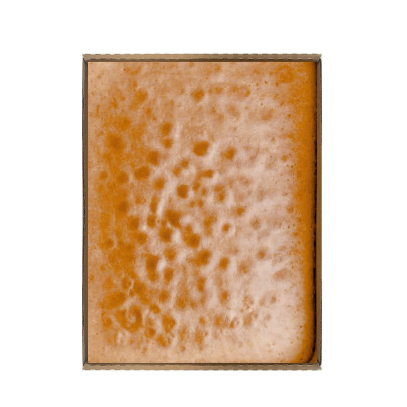 Bizcocho Media Placa Esponja - 4 / 48 oz