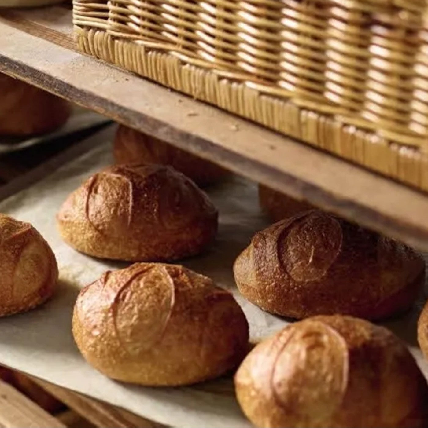 Sapore Fidelio - 22 lbs. - (Producto por Orden Especial)