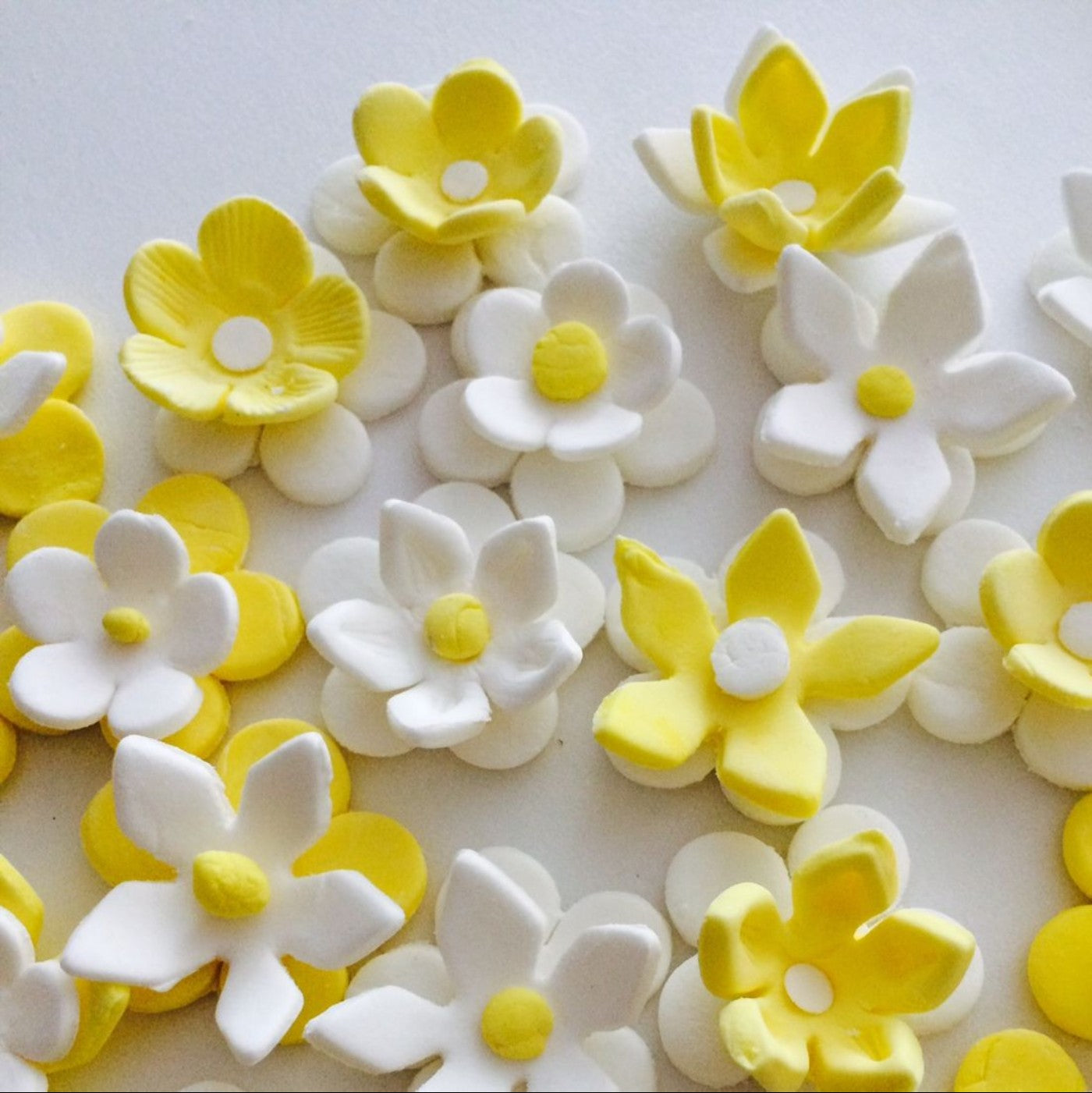 Cream of Tartar 32 oz