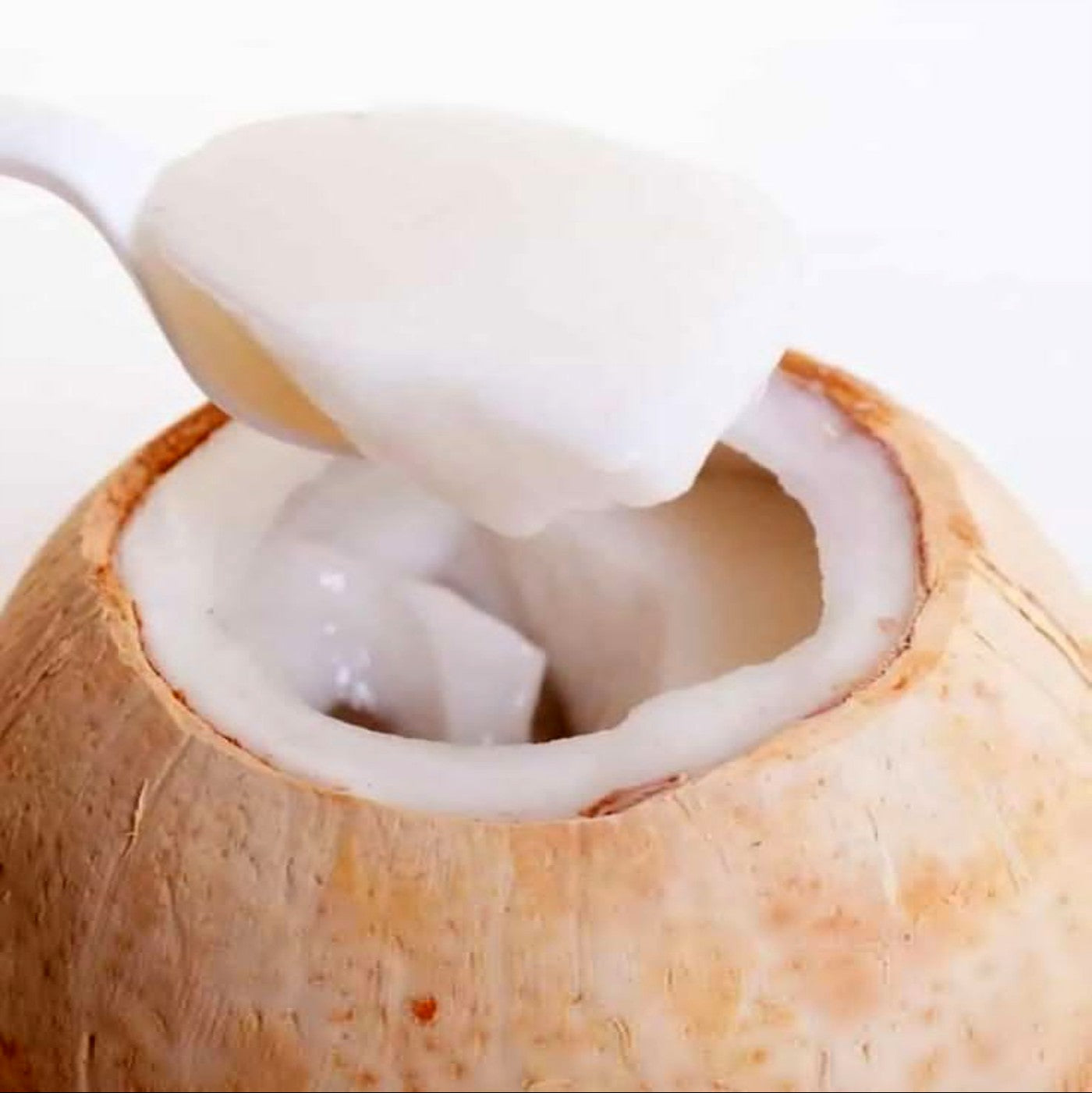 Leche de Coco - 24 / 12 oz.