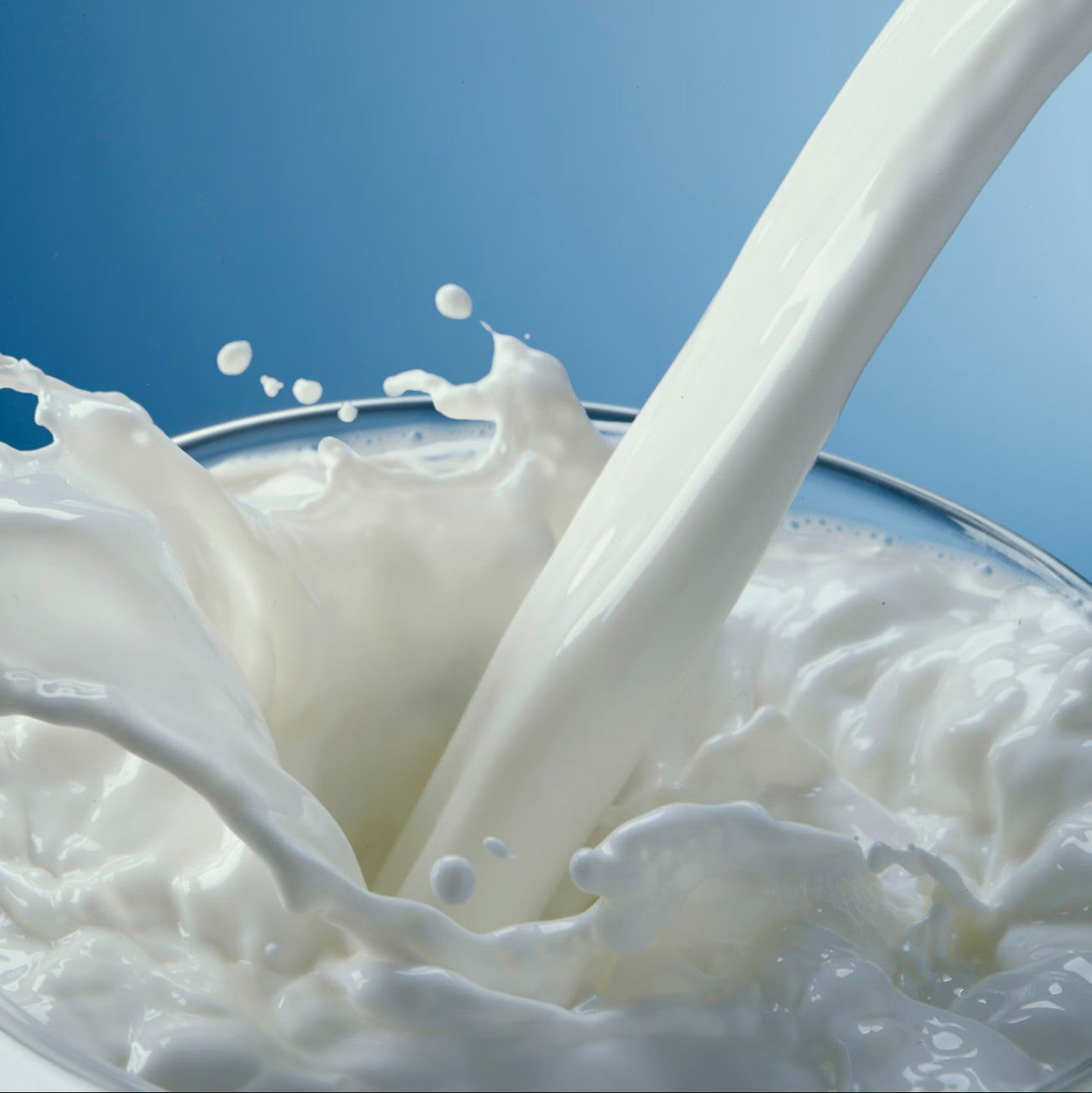 Leche Evaporada - 24 / 12 oz.