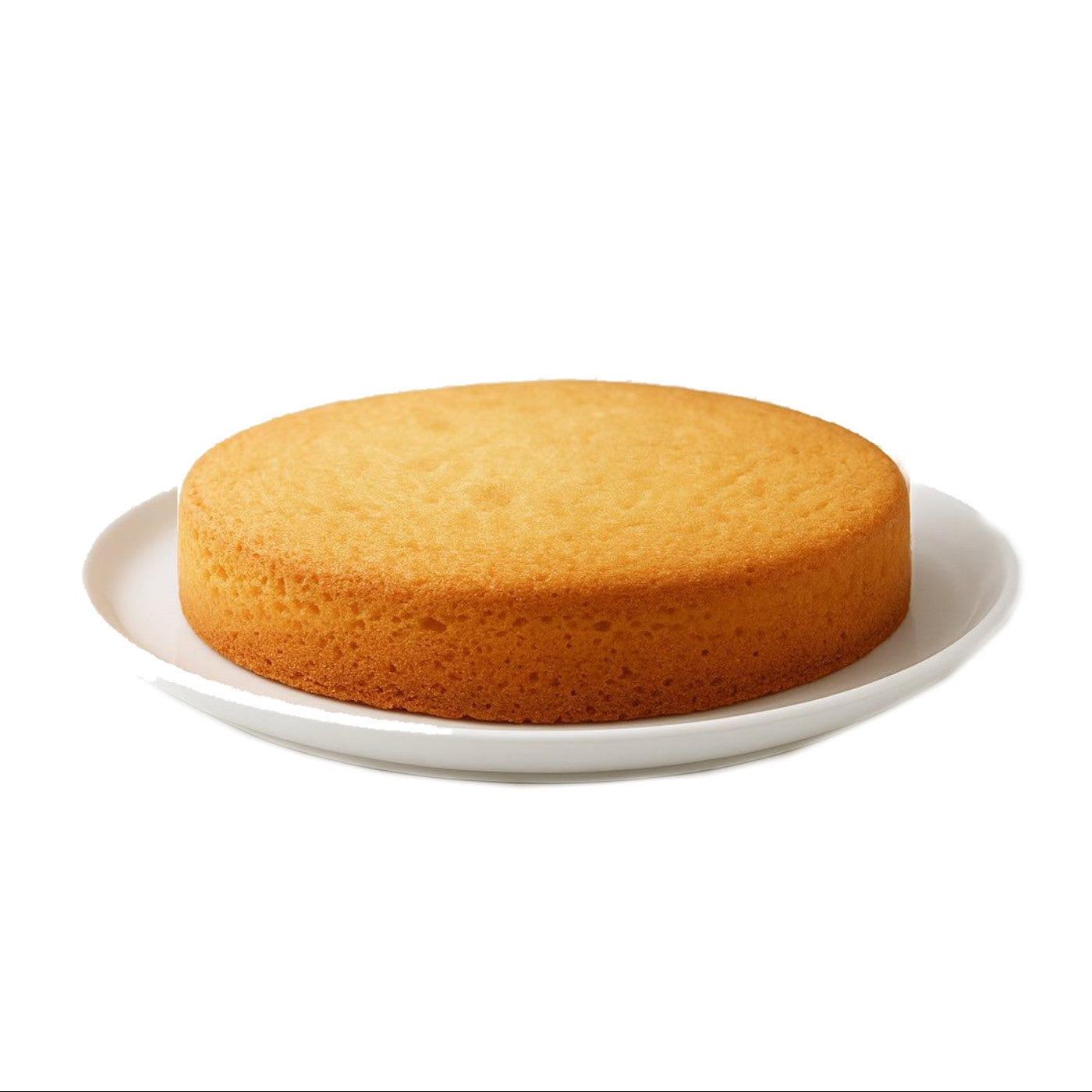 Bizcocho 8in Layer Yellow - 24 / 12.5 oz