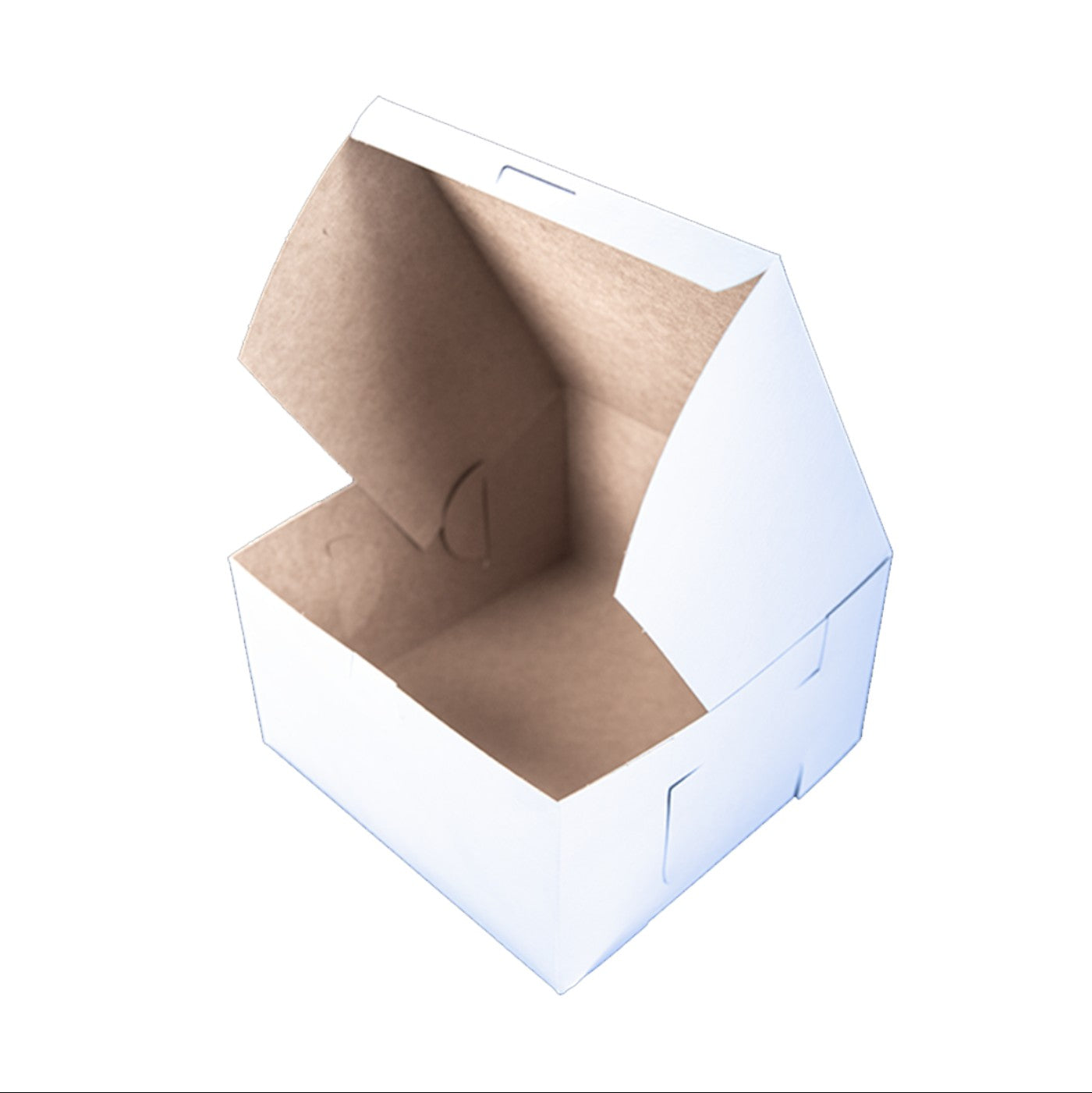 Caja Blanca Premium 9x9x5 - 1 / 100