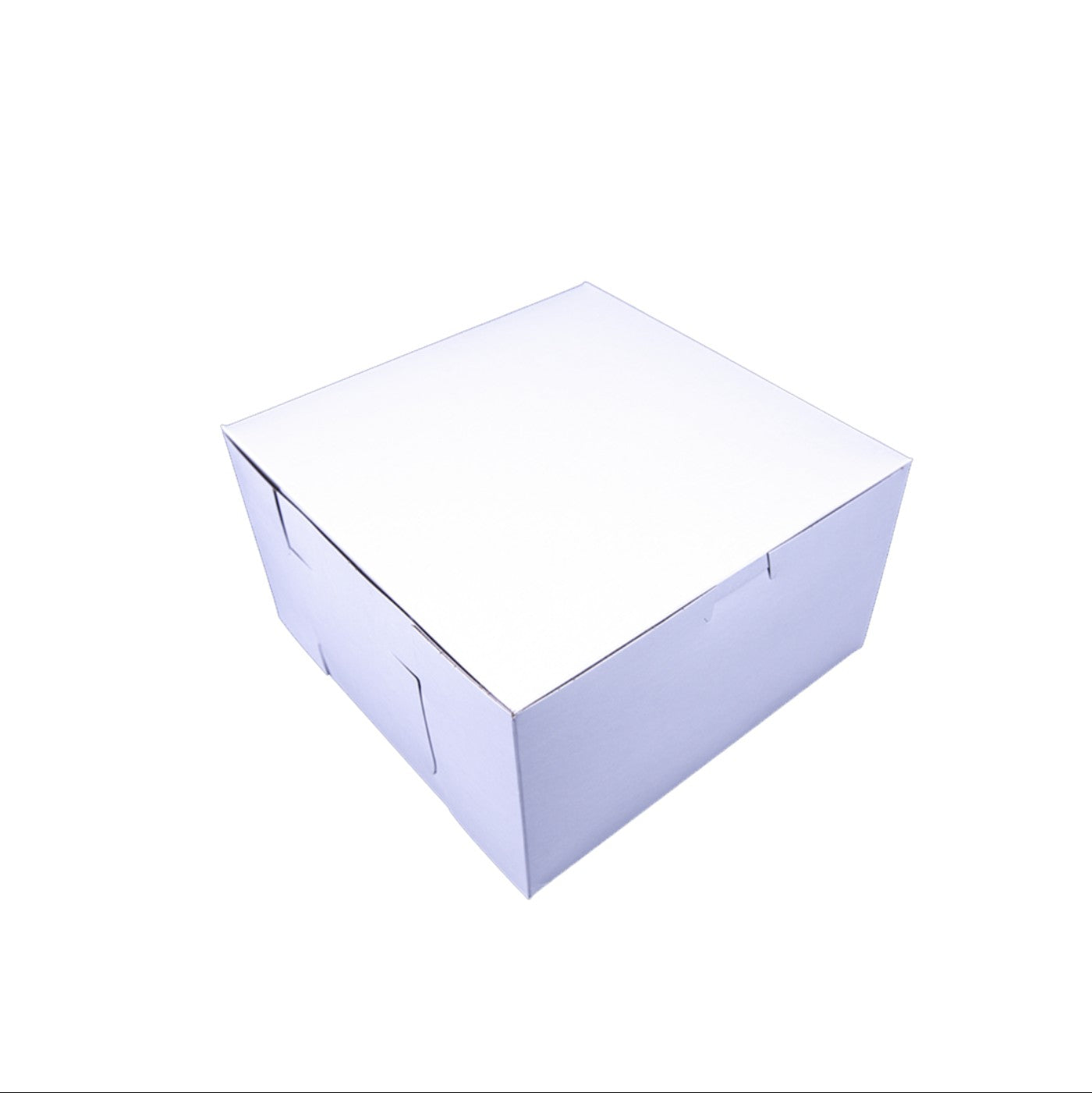 Caja Blanca Premium 9x9x5 - 1 / 100