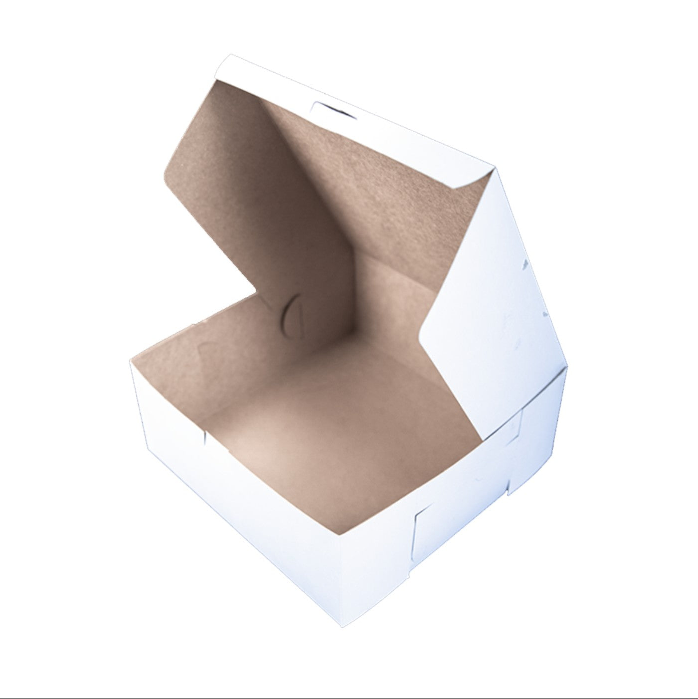 Caja Blanca Premium 10x10x4 - 1 / 100