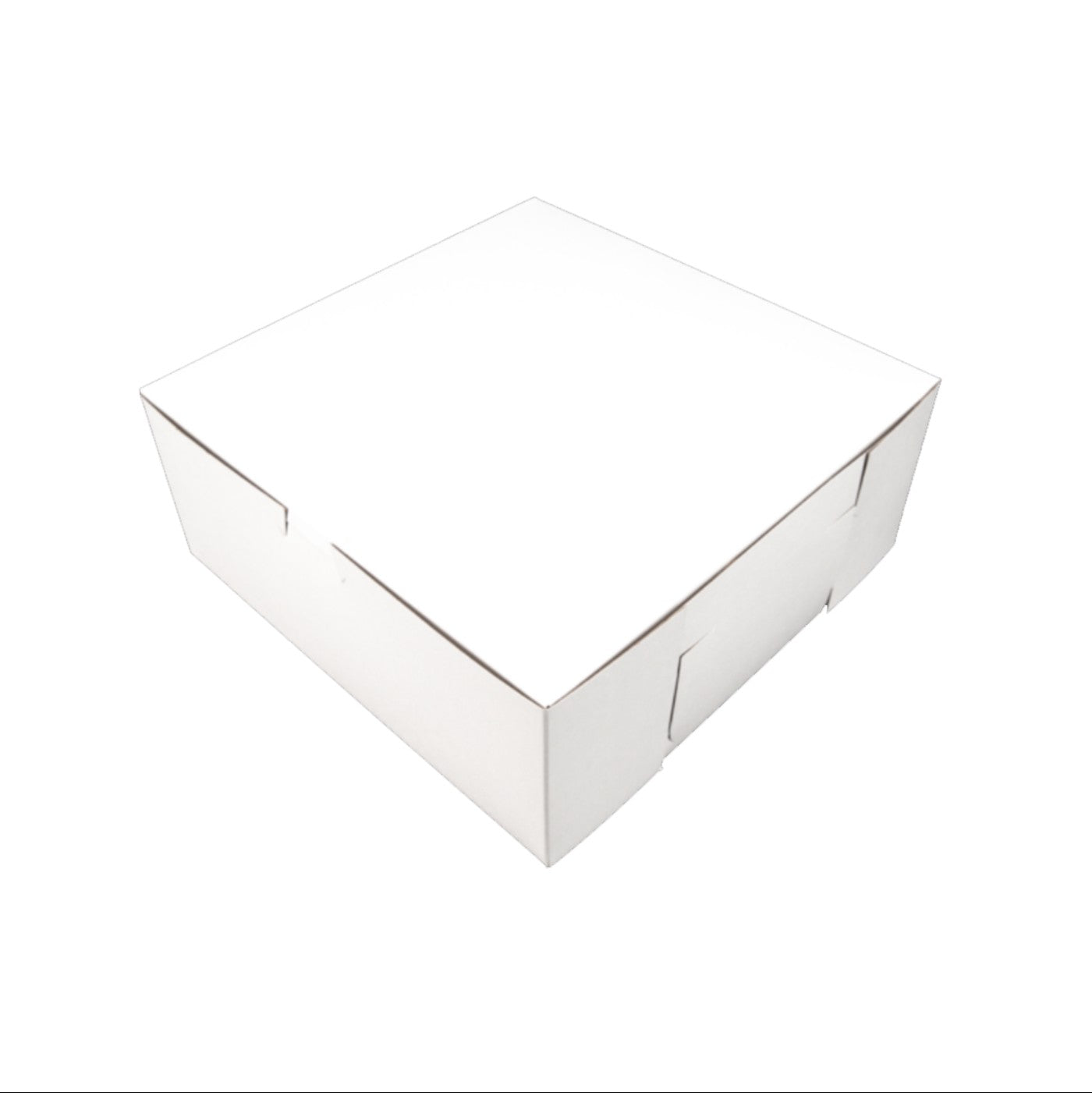 Caja Blanca Premium 10x10x4 - 1 / 100