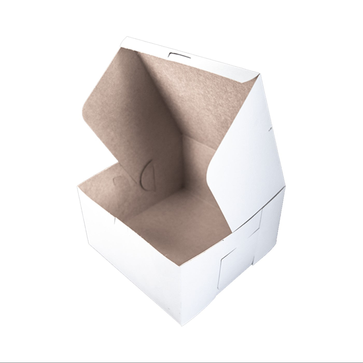 Caja Blanca Premium 10x10x5 ½ - 1 / 100