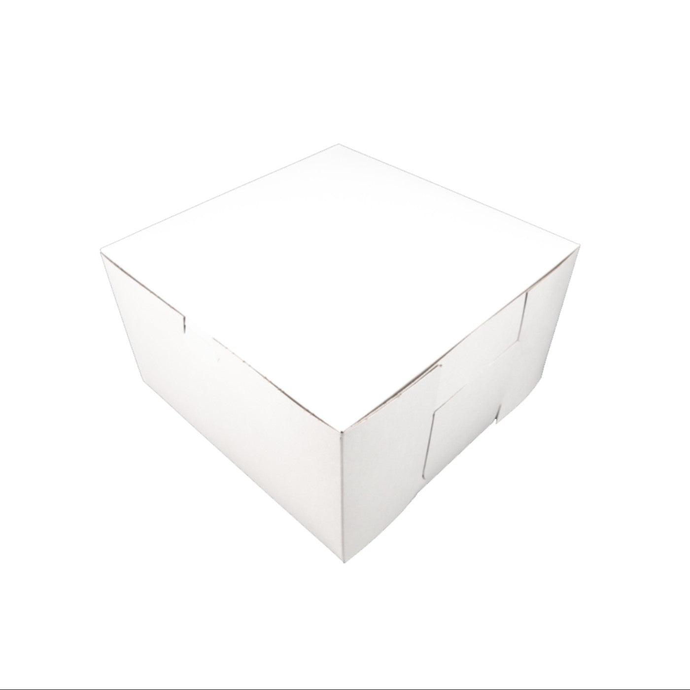 Caja Blanca Premium 10x10x5 ½ - 1 / 100