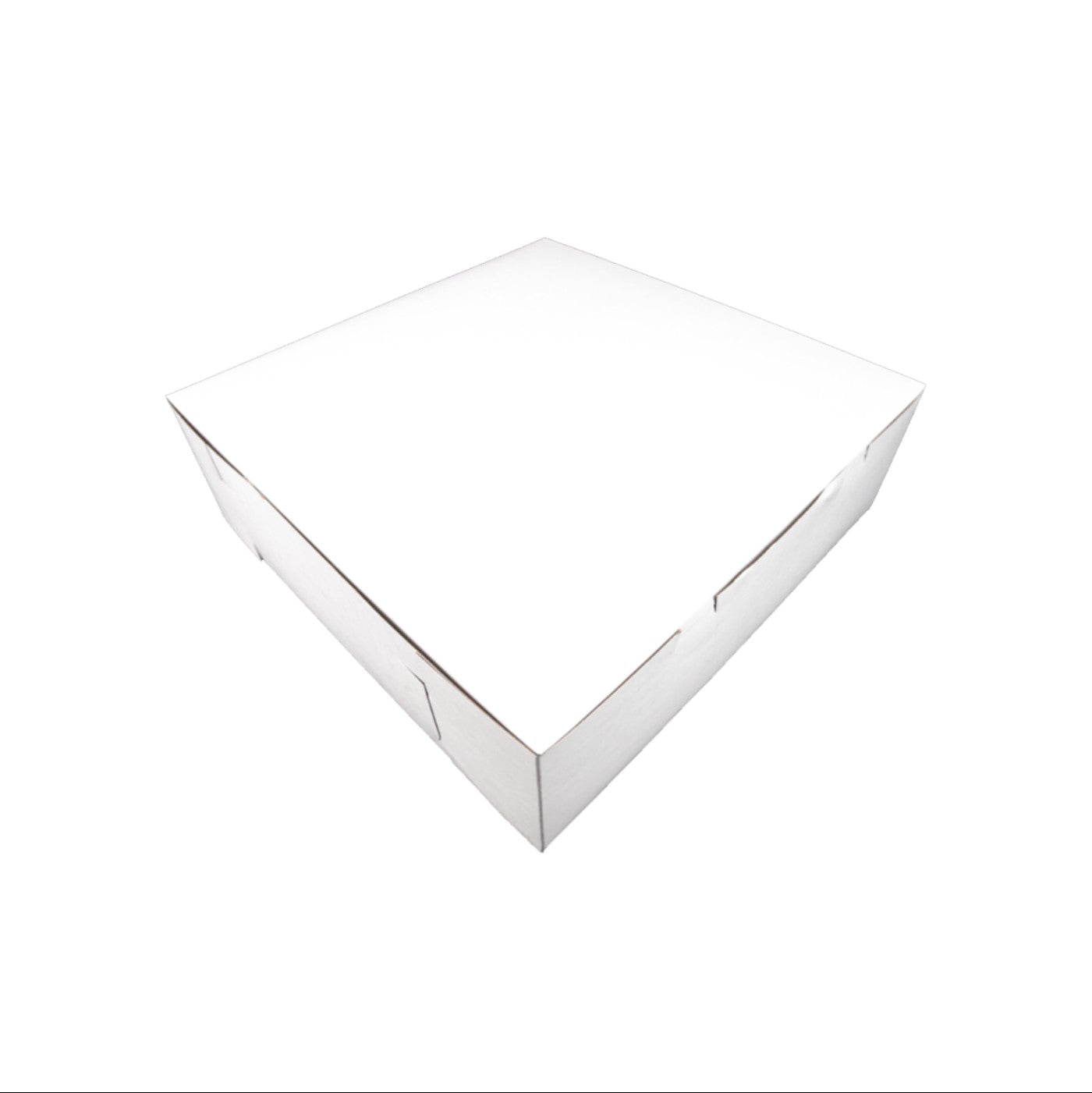 Caja Blanca Premium 16x16x5 - 1 / 50