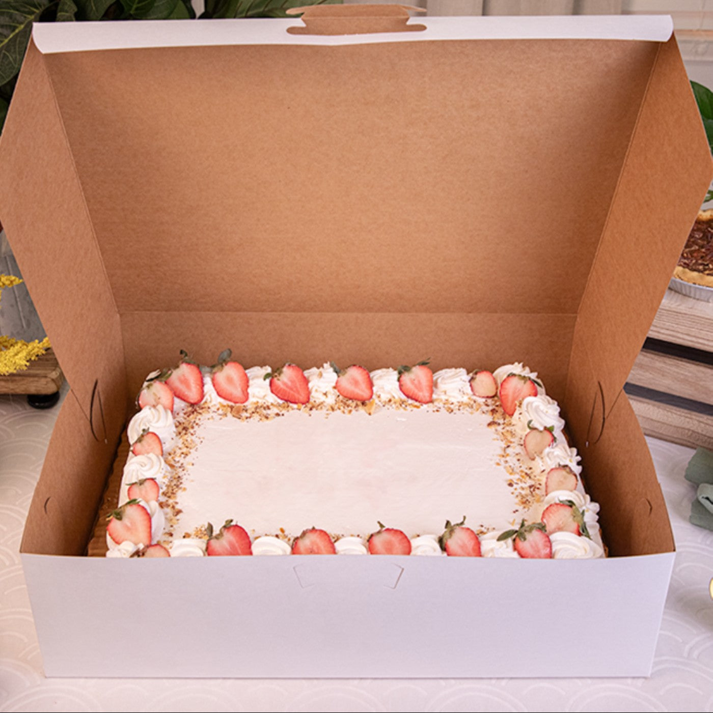 Caja Blanca Premium 19x14x5 - 1 / 50