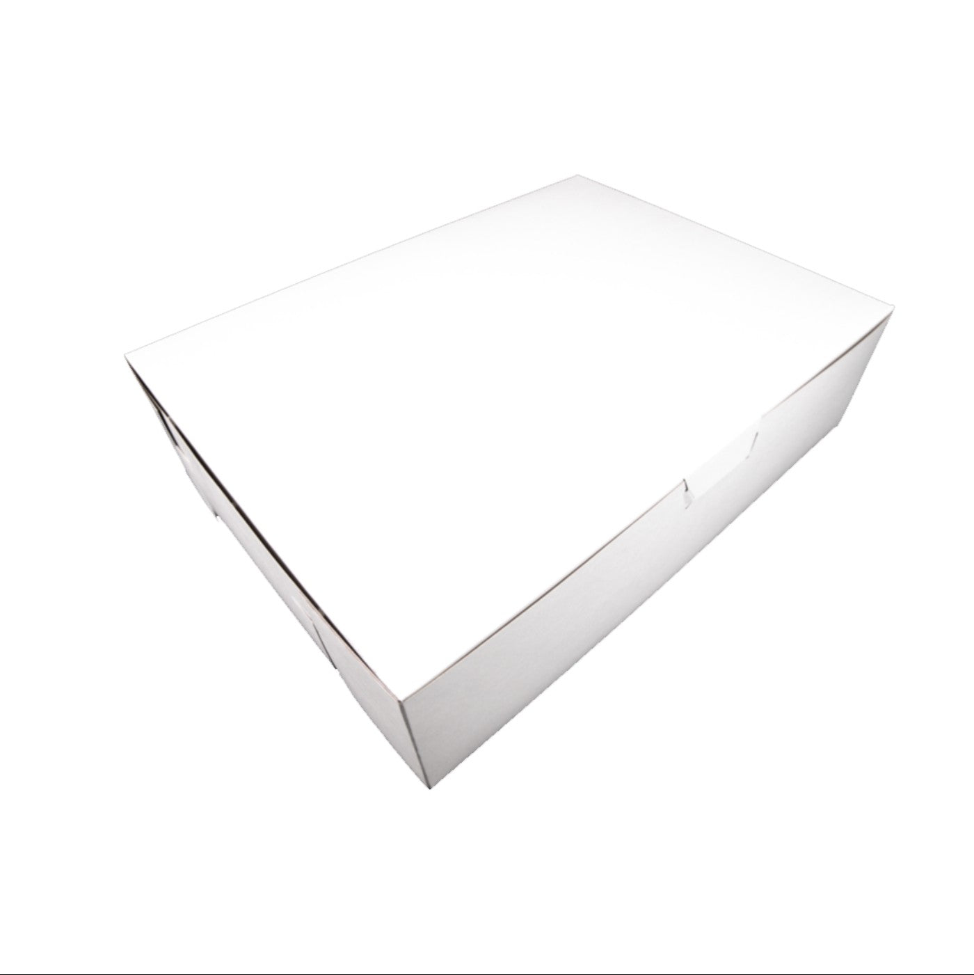 Caja Blanca Premium 19x14x5 - 1 / 50