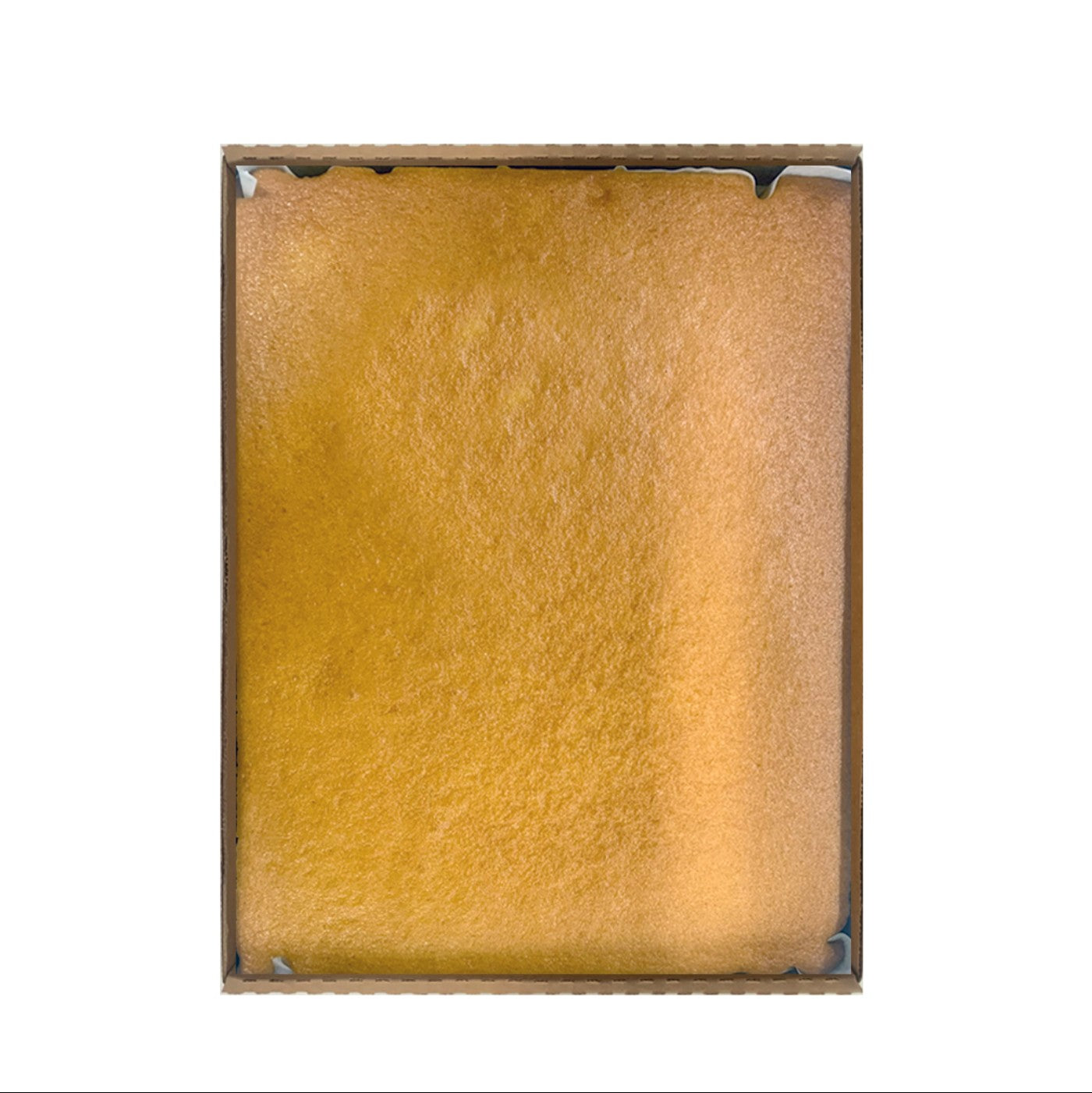 Bizcocho Media Placa Yellow - 4 / 60 oz